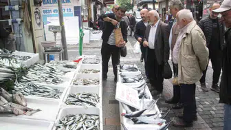 Karadeniz'de palamut bereketi: Fiyatlar yarıya indi, tezgahlarda kuyruklar oluştu