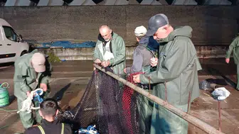 Karadeniz'de palamut bereketi ağları parçaladı: Balıkçılar limana sığındı
