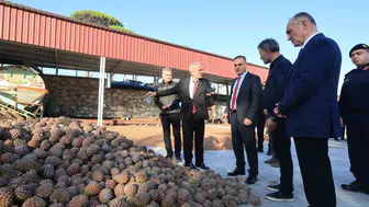 Muğla'nın yeşil altınında hedef büyüdü: Vali Akbıyık'tan üreticiye tam destek sözü