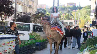 Hakkari sokaklarında beklenmedik misafirler: Şehir merkezinde deve şaşkınlığı