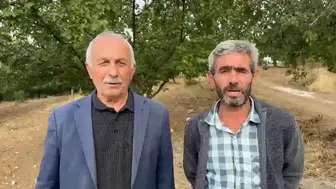 Ölümden kaçarken uçurumun kıyısında sıkışıp kaldı: Kurt sürüsünden kurtulan keçinin zorlu bekleyişi