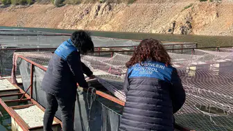 Topçam Barajı'nda kritik denetim: Türk somonu için dev adım