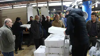 Denizi olmayan şehirde balık bereketi: Sivas'tan kıyı illerine palamut sevkiyatı