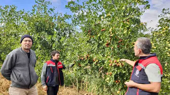 Başmakçı topraklarında yeni bir umut: Hünnap üretimi yükselişe geçti