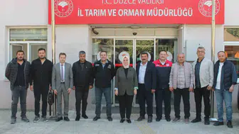 Anadolu mandasının geleceği Düzce'de şekilleniyor: Islah projelerinde yeni dönem