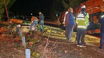 Tarsus'ta korkutan kaza: Devrilen kamyondan saçılan karpuzlar yayaları yaraladı