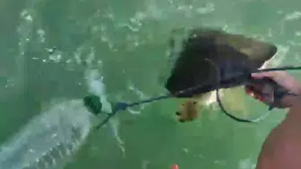 Denizin ortasında vicdan nöbeti: Pet şişeye mahkûm edilen caretta carettayı ölümden kurtardılar