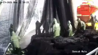 Karadeniz'de korkunç kaza: Ağ çekerken devrilen vinç balıkçıyı hayattan kopardı