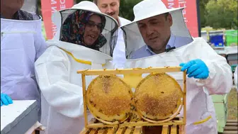 Bilecik'in Altın Sarısı Hazinesi Artık Tescilli Bir Marka