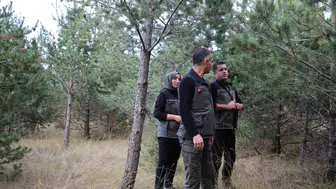 Karslılara müjde: Şehrin kalbinde devasa bir Millet Ormanı yükseliyor