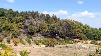 Kütahya'da korkutan orman yangını: Ekiplerin 3 saatlik zorlu mücadelesi sonuç verdi