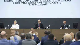 Mersin'de kritik gün: Belediye başkan vekilliği için sandık kuruluyor