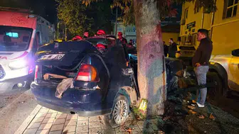 Pozantı'da gece yarısı dehşeti: Ağaca çarpan araçta bir çocuk yaşamını yitirdi