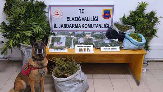 Oymaağaç köyünde jandarma baskını: Zehir tacirlerine ağır darbe
