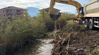 Dalaman'da doğa felaketiyle mücadele: Ekipler seferber oldu
