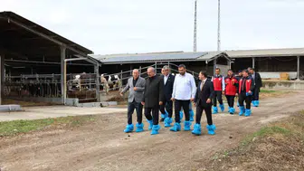 Çanakkale'de kurbanlık hazırlıkları denetim altında