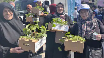 Beykoz Belediyesi balkonları bahçeye dönüştürmek için 1,7 milyon fide dağıtıyor