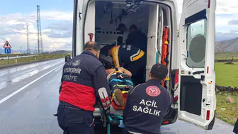 Çaldıran yolunda kamyonet devrildi 5 yaralı