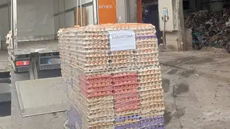 Sakarya’da sahte organik yumurta operasyonu