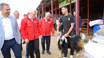 Kahramanmaraş kurban pazarında hazırlıklar tamamlandı