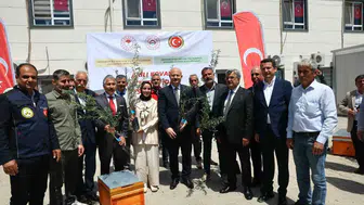 Adıyamanlı üreticiye devletten zeytin ve arıcılık desteği