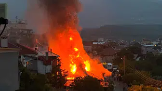 Bozdoğan’da müstakil ev alevlere teslim oldu