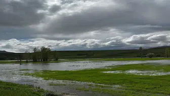 Erzincan'da üç gündür süren sağanak tarım arazilerini sular altında bıraktı