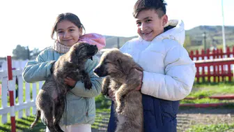 Dikili’ye 2 bin 500 hayvan kapasiteli yeni yaşam alanı kuruluyor