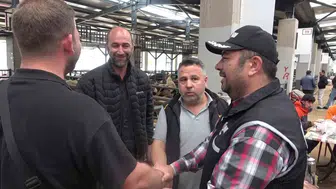 Bursa kurban pazarında mali polis sahte paraya karşı nöbette