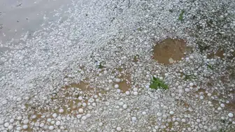 Kırklareli Dokuzhöyük köyünde dolu yağışı tarlaları vurdu