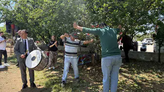 İznik ovasında erik bereketi yüzleri güldürdü