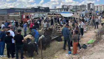 Gaziantep kurban pazarlarında son gün mesaisi