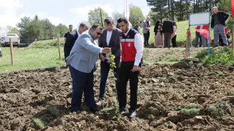 Kütahya’da boş hazine arazisi kiraz bahçesine dönüştü