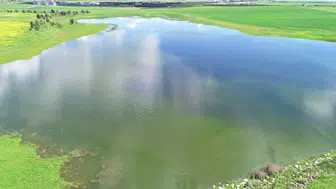 Diyarbakır’da kurumaya yüz tutan gölet hayat belirtisi gösterdi