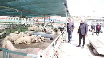 Malatya Canlı Hayvan Pazarı’nda kira isyanı