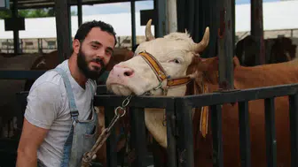 Denizli kurban pazarında hareketlilik başladı