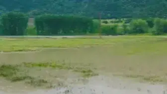 Amasya'da Yeşilırmak taştı altı köyün yolu kapandı