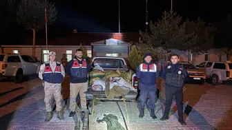 Van'da kaçak inci kefali operasyonu 630 kilogram balık ele geçirildi