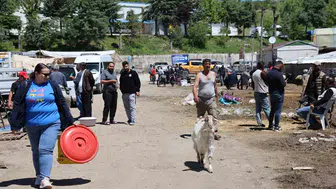 Elazığ pazarında son dakika kurban pazarlığı