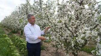 Elma fiyatlarındaki yüksek farkın arkasında tüccarın depo stratejisi yatıyor