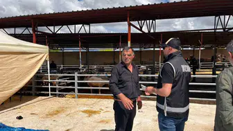 Kurban pazarında dolandırıcılara karşı dikkatli olun