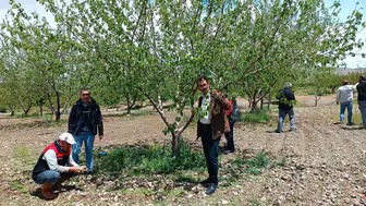 Elazığ’da dolu felaketi sonrası çiftçinin gözü hasar tespitinde