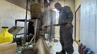 Toroslar’ın şifası 31 farklı bitkisel yağla dünyaya yayılıyor