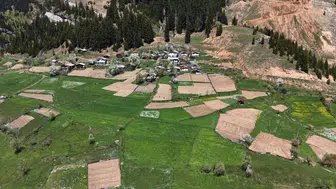 Artvin’in zirvesinde geleneksel tarım dayanışması