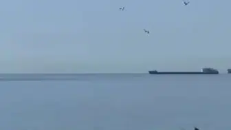 Tekirdağ sahilinde yunus sürprizi