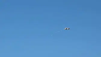 Van Gölü kıyısında martının çaresizliği çevre kirliliğini yeniden gündeme getirdi