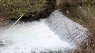 Hazar Gölü’nde doğanın en zorlu yolculuğu başladı