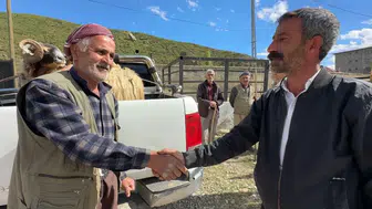 Yüksekovalı besiciler ve alıcılar bayram pazarlığında buluştu