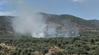 Bayındır’da zeytinlikleri alevler sardı