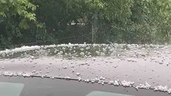 Bingöl yükseklerinde aniden bastıran dolu tarlaları vurdu
